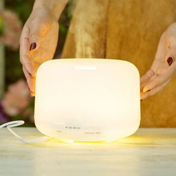 加湿器 家用静音大容量，卧室办公室的理想选择